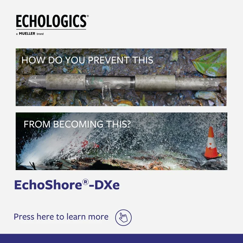 Echologics EchoShore-DXe