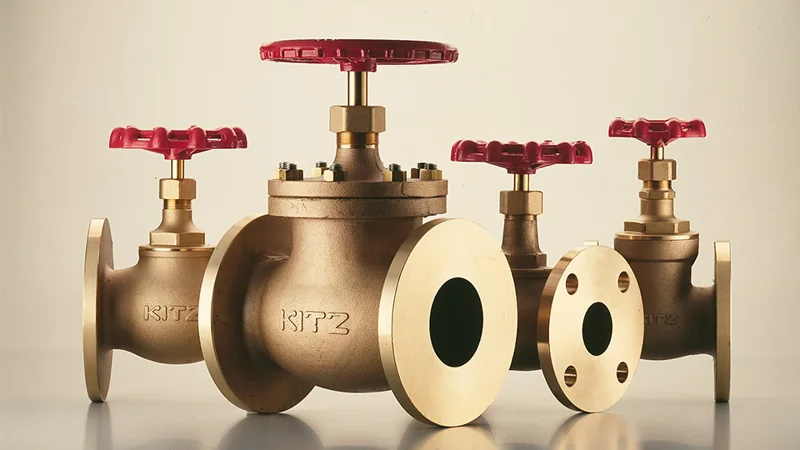 Bellows Valves