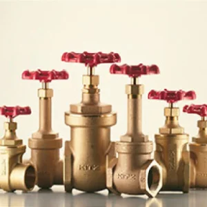 Inside Screw Gate Valve