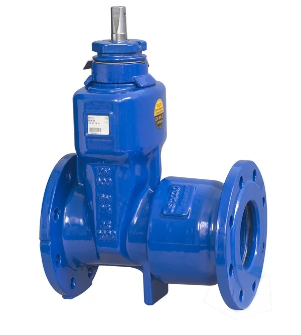 VAG BETA 500 Gate Valve