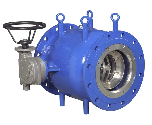 VAG RIKO Plunger Valve