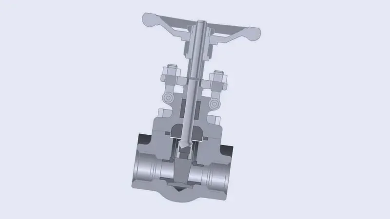 API 600, API 623, & API 594 cast steel valves