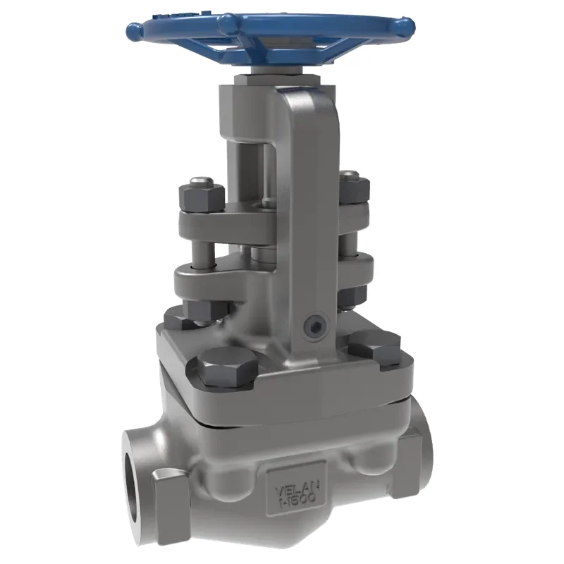 Pressure seal valves